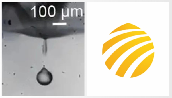 官宣 | tyc86太阳集团官方LOGO全「新」亮相！