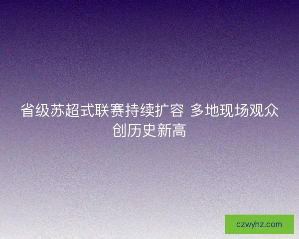 省级苏超式联赛持续扩容 多地现场观众创历史新高