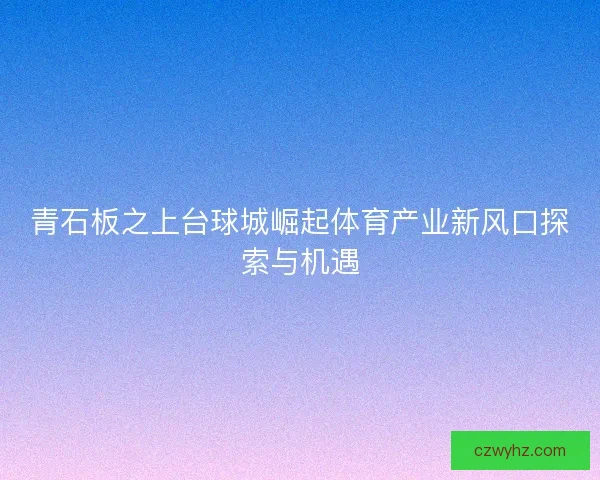 青石板之上台球城崛起体育产业新风口探索与机遇