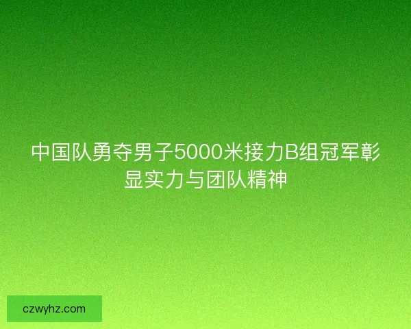 中国队勇夺男子5000米接力B组冠军彰显实力与团队精神
