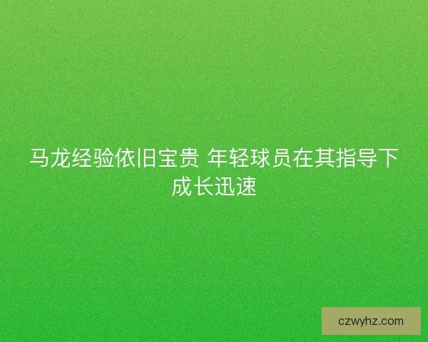 马龙经验依旧宝贵 年轻球员在其指导下成长迅速 马龙经验依旧宝贵 年轻球员在其指导下成长迅速